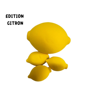 Lot de 4 éponges "FRUIT...